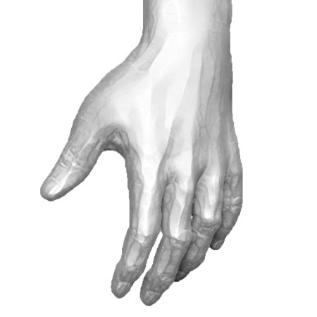 pp_hands_07_05 .png